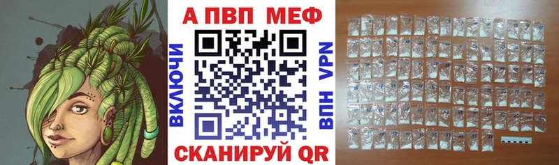 shop как зайти  Старая Русса  A PVP крисы CK 