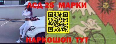 a pvp Брянск