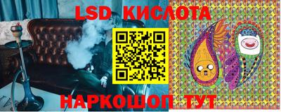 a pvp Брянск
