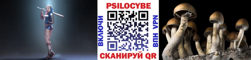 Галлюциногенные грибы Magic Shrooms Старая Русса