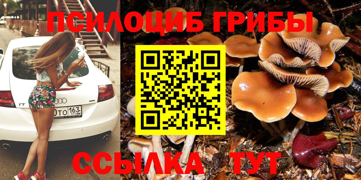 Старая Русса  Псилоцибиновые грибы Magic Shrooms  где продают наркотики  Вход с VPN 